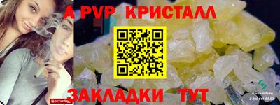 стафф Кандалакша