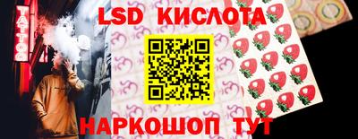 стафф Кандалакша