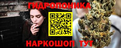 стафф Кандалакша