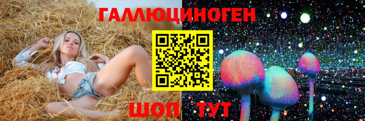 Псилоцибиновые грибы Psilocybine cubensis Ливны
