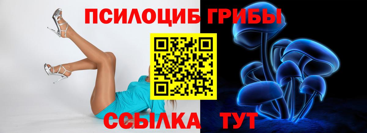 Галлюциногенные грибы прущие грибы  Псилоцибиновые грибы Magic Shrooms  купить наркотик  Ливны  Вход с VPN 